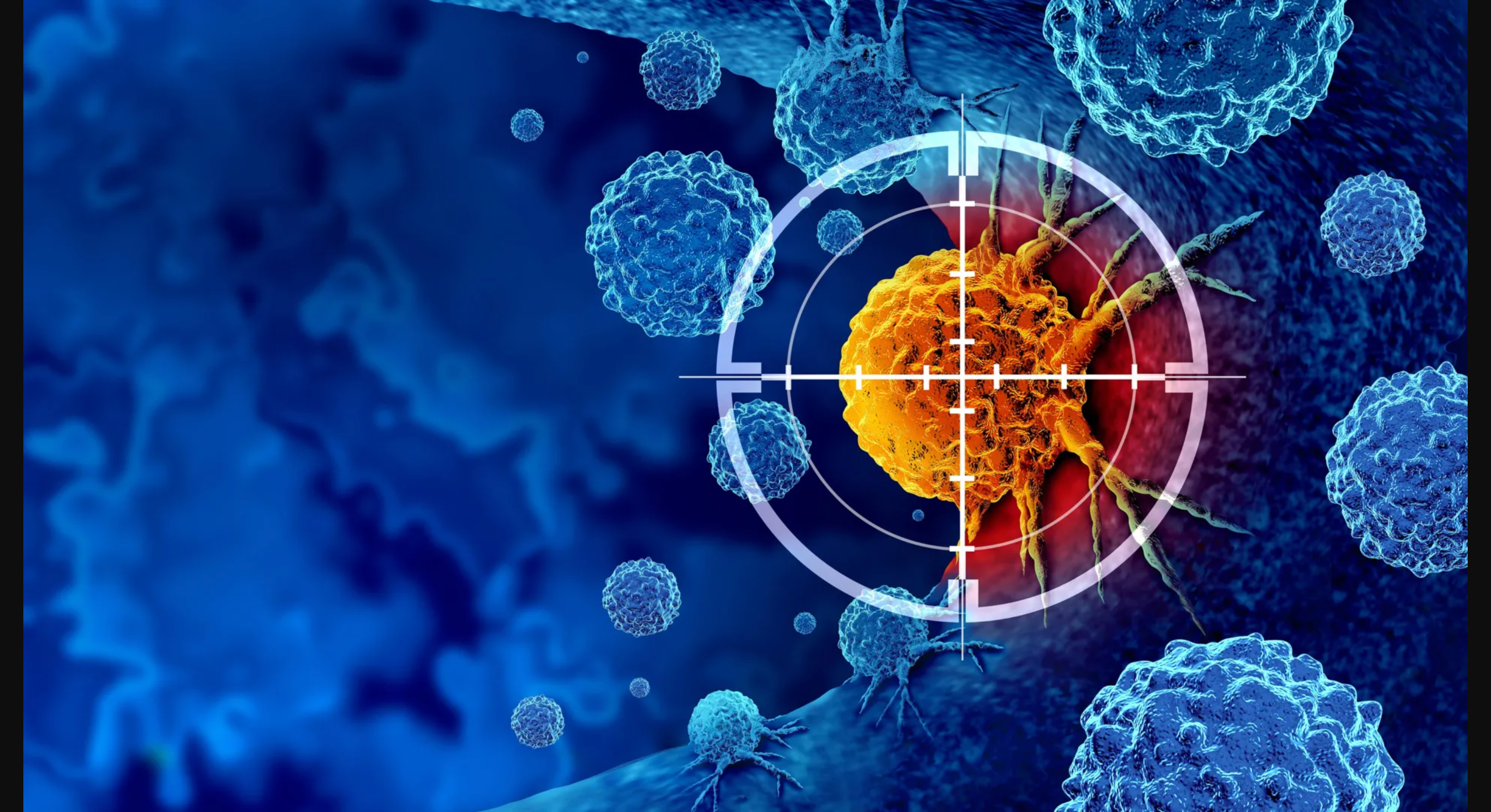 The immune system’s master switch: how scientists discovered the body’s internal brakes