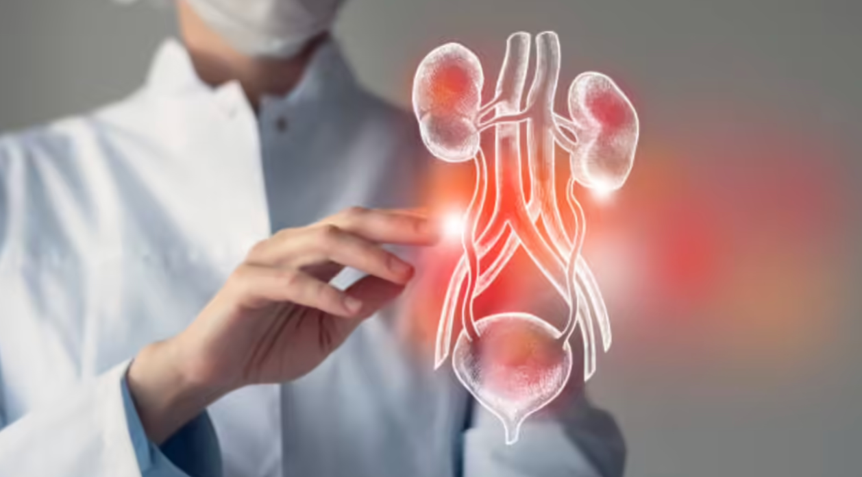 A transformative step toward universal kidney transplants