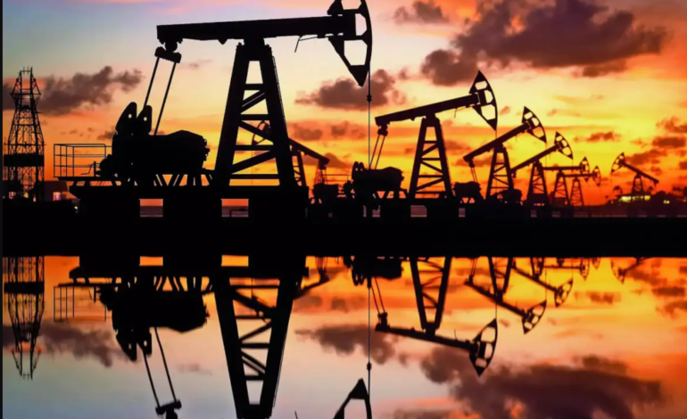 India draws up oil contingency plan amid US-Iran turmoil