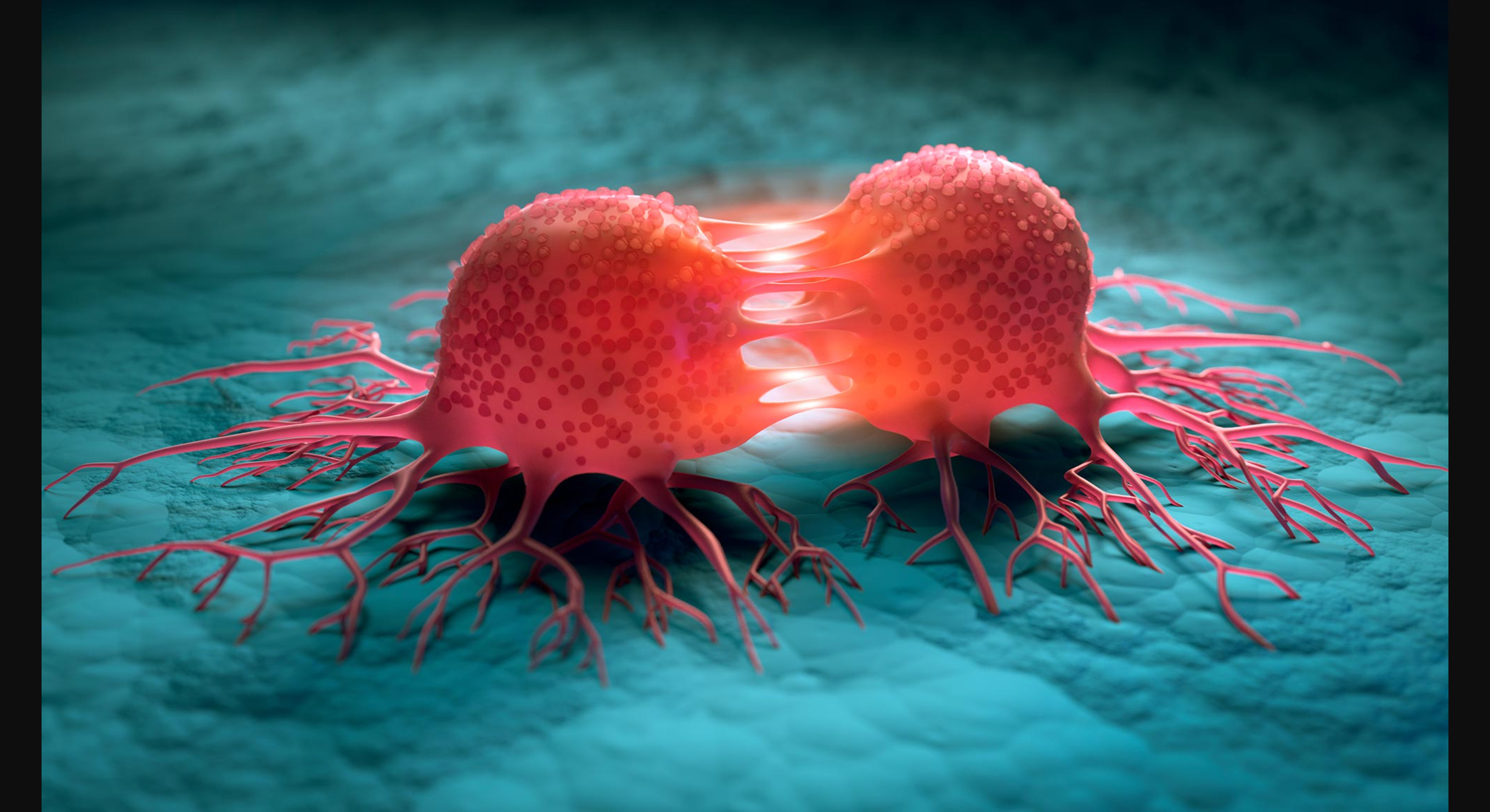 Engineered ‘tumor-eating’ bacteriaPromise, progress, and reality check