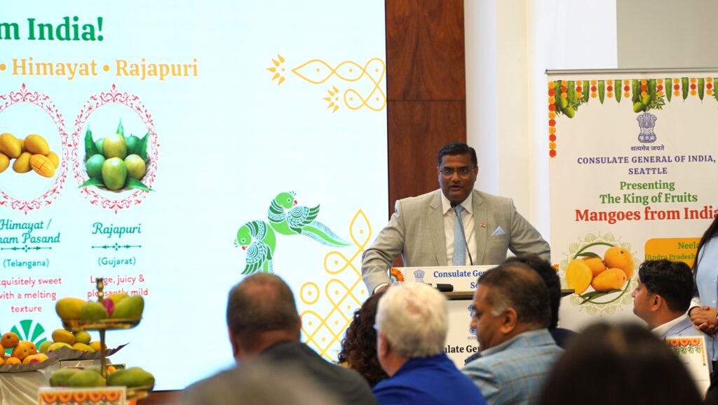 Seattle’s Mango Magic 2026 showcases rising demand for Indian mangoes in the U.S.