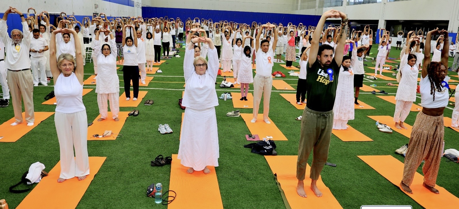 Chicagoland hosts major International Yoga Day celebration in Naperville