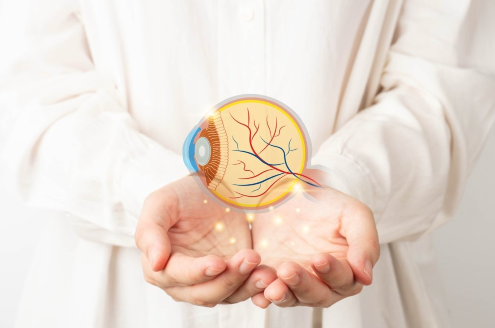 Protect your vision, protect your life: Part 2