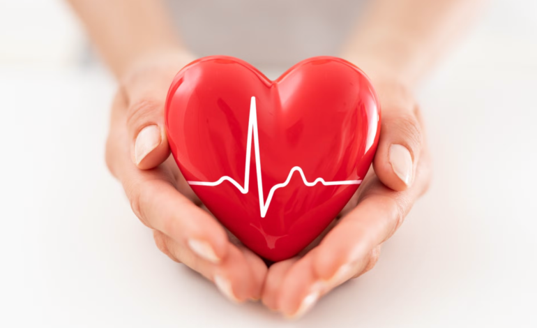 Healthy heart, healthy life: Part 1 – Understanding your heart: The foundation of a healthy life