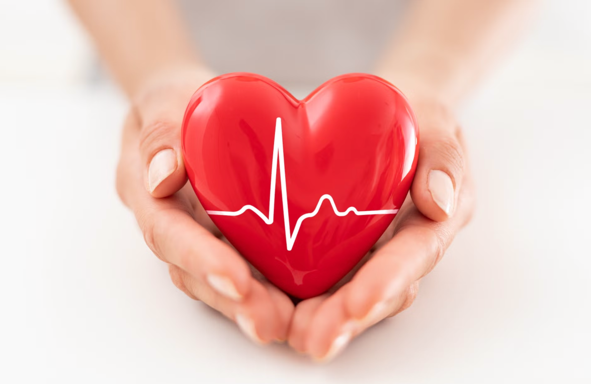 Healthy heart, healthy life: Part 1 – Understanding your heart: The foundation of a healthy life