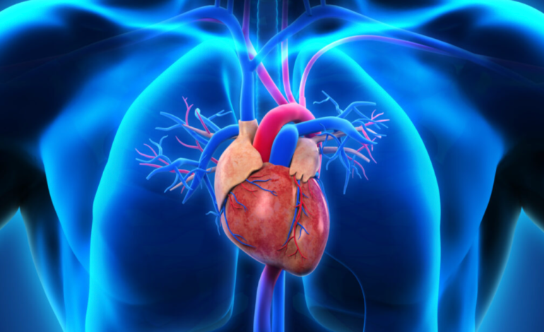 Healthy Heart, Healthy Life: Part 2: Coronary artery disease (CAD): The silent killer you can prevent